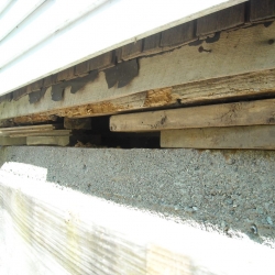 DSCN0730.jpg