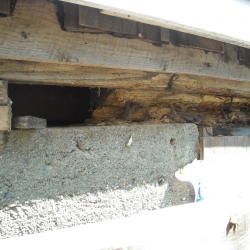 DSCN0732.jpg