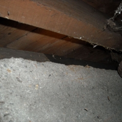 DSCN0737.jpg
