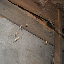 DSCN0739.jpg