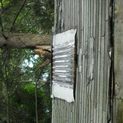 DSCN0744.jpg