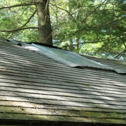 DSCN0749.jpg
