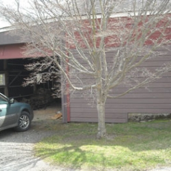dscn0385.jpg