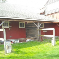dscn0397.jpg